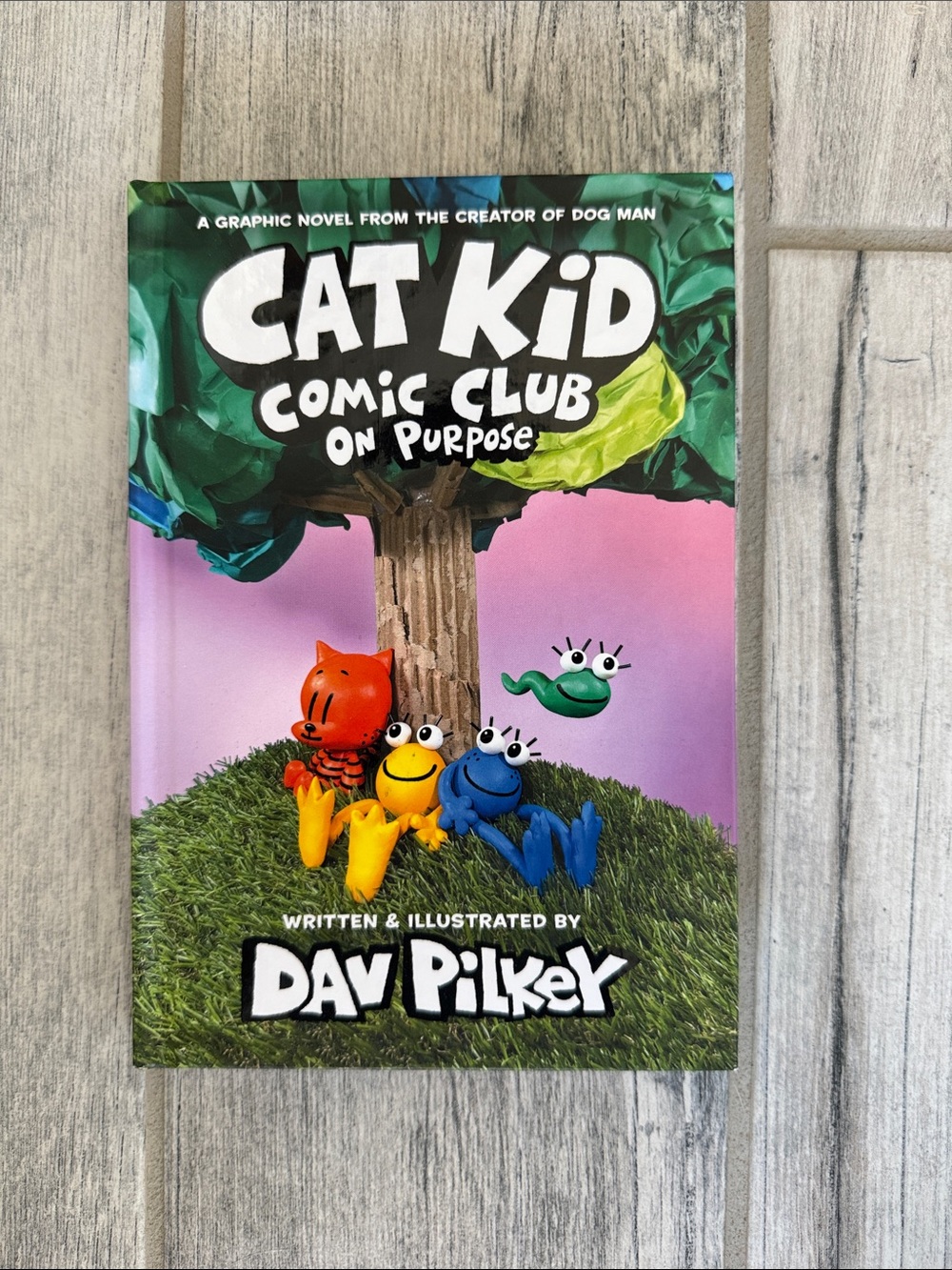 Scholastic Cat Kid Comic Club On Purpose - Green & Pink Cover